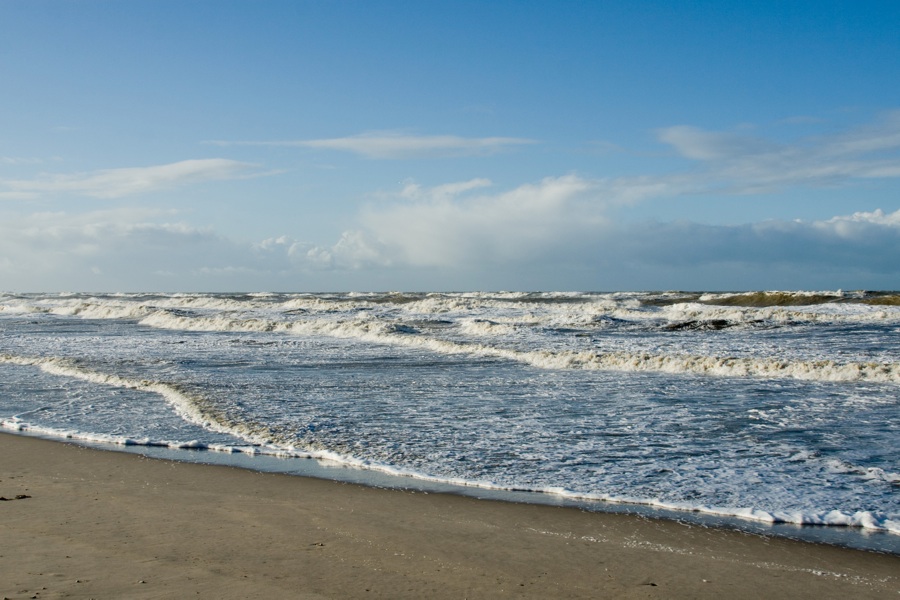 Sea at Monster